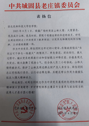 1745207401751_副本_副本.jpg