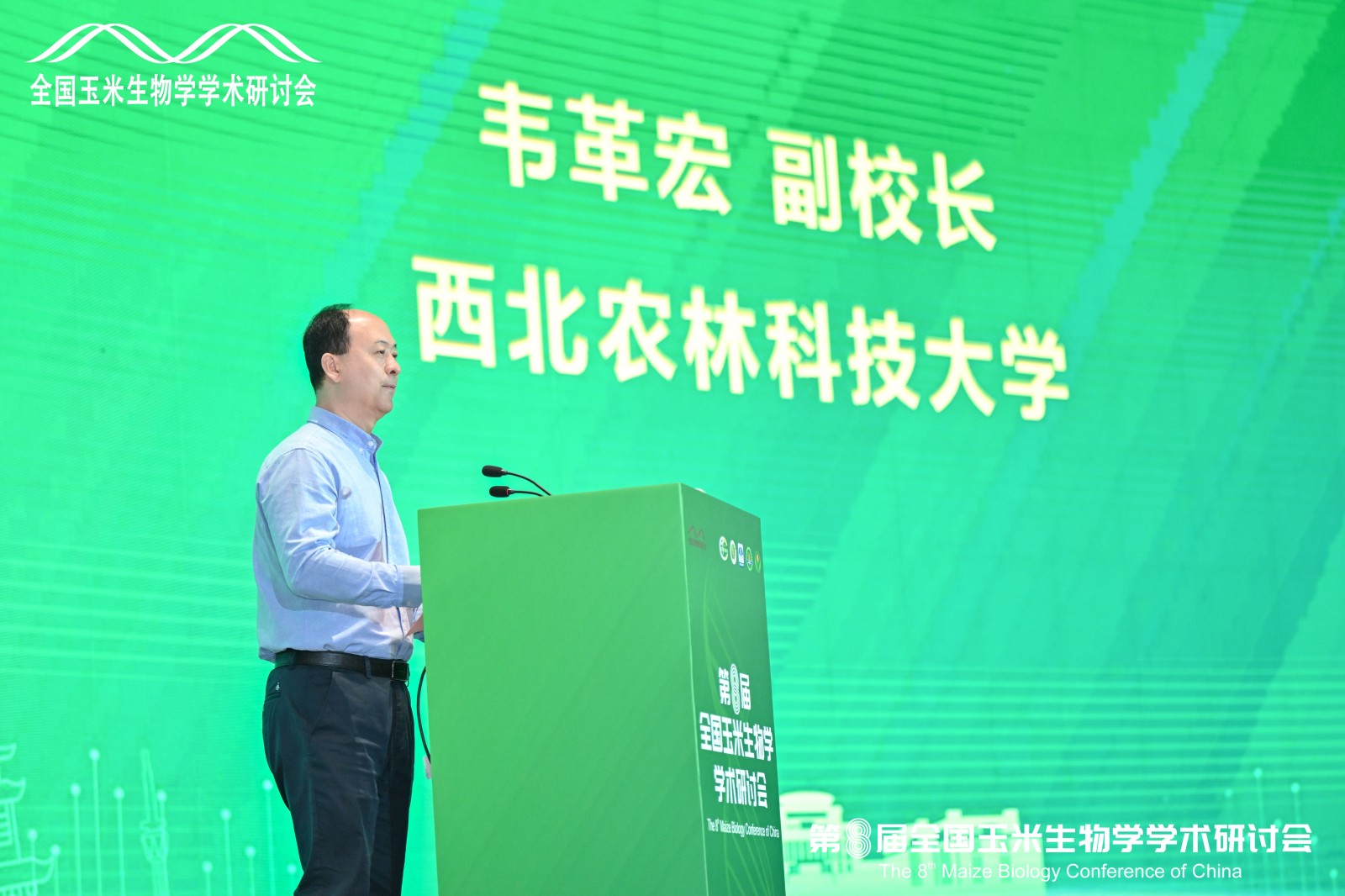 韦革宏