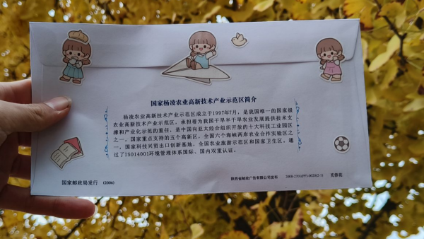 图11.png
